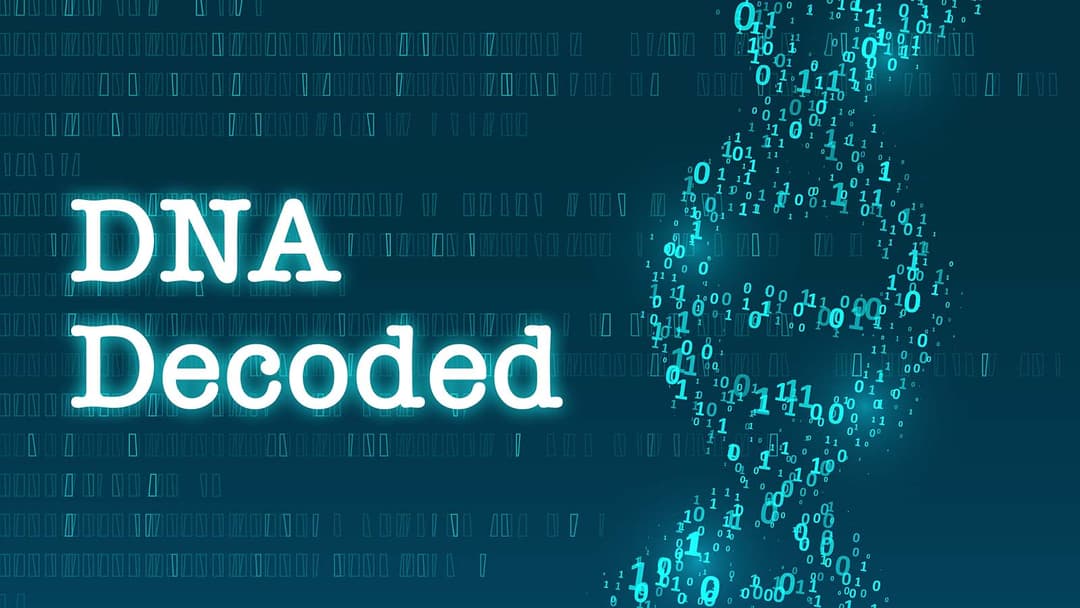 DNA Decoded